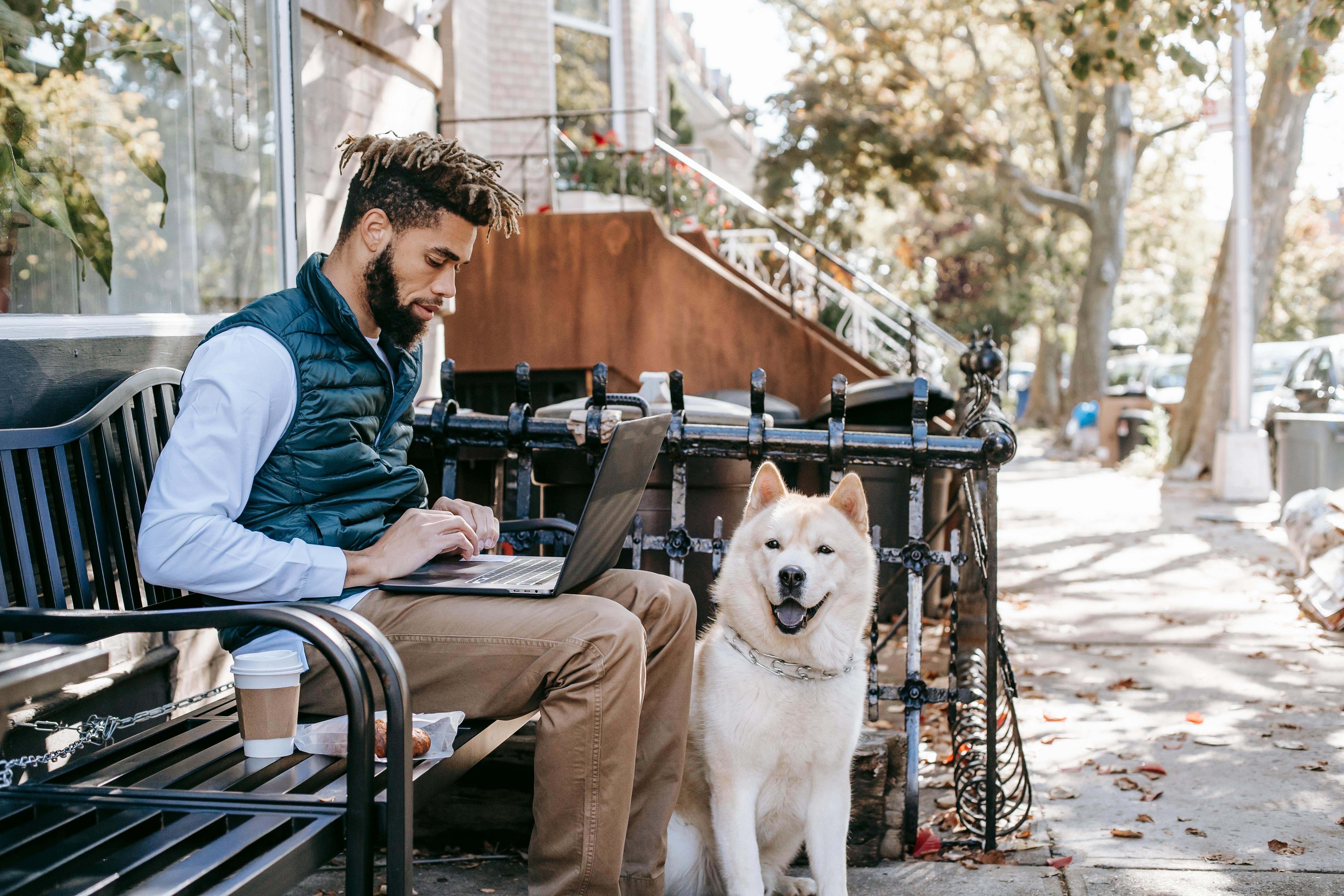 focused black man browsing laptop on street with dog