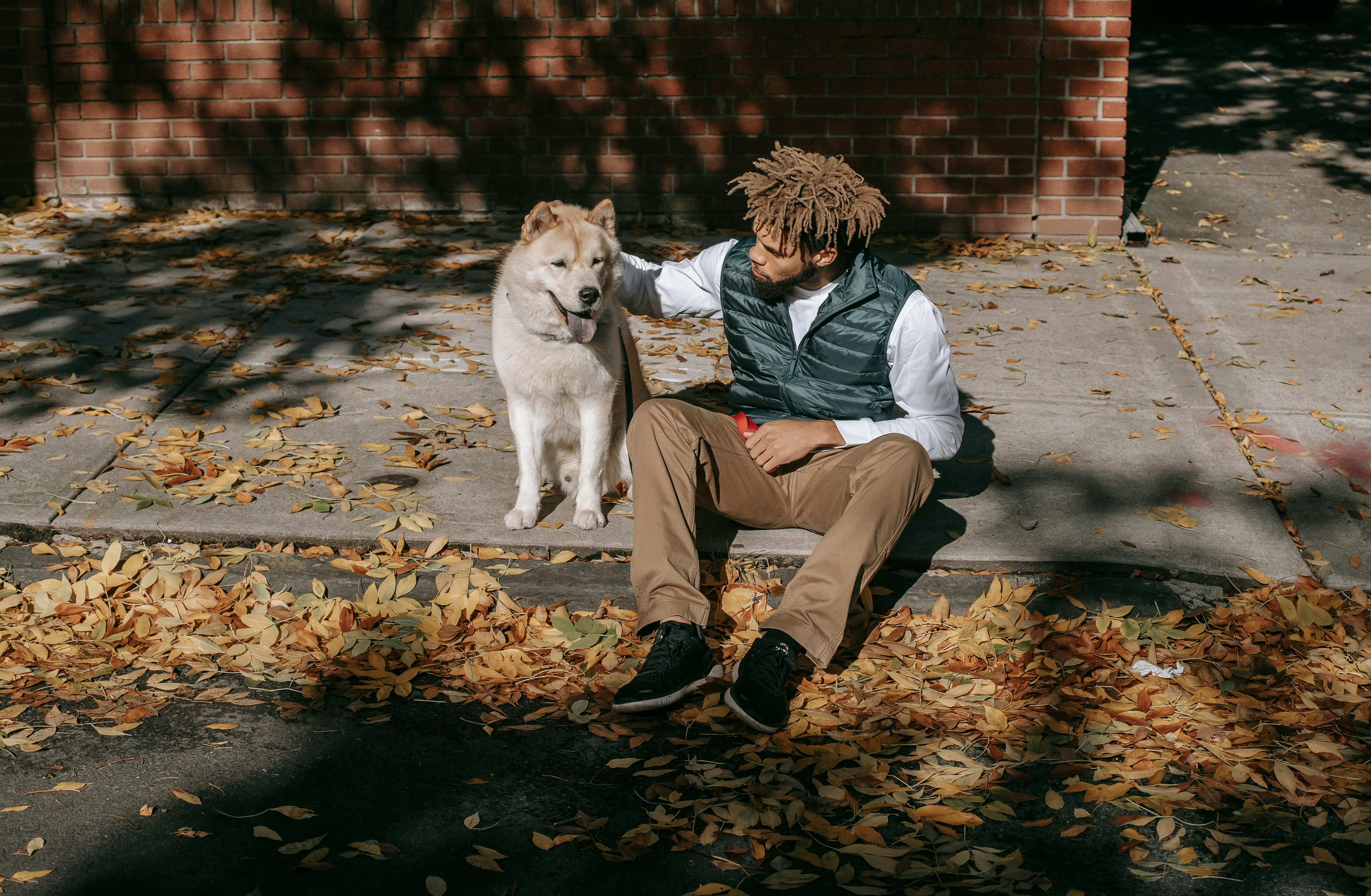 From above full body of African American male petting Akita Inu while sitting on pathway with fallen leaves on street