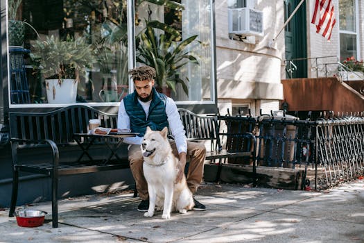 Focused African American male stroking Akita Inu while sitting on bench with snack and takeaway coffee on street during lunch