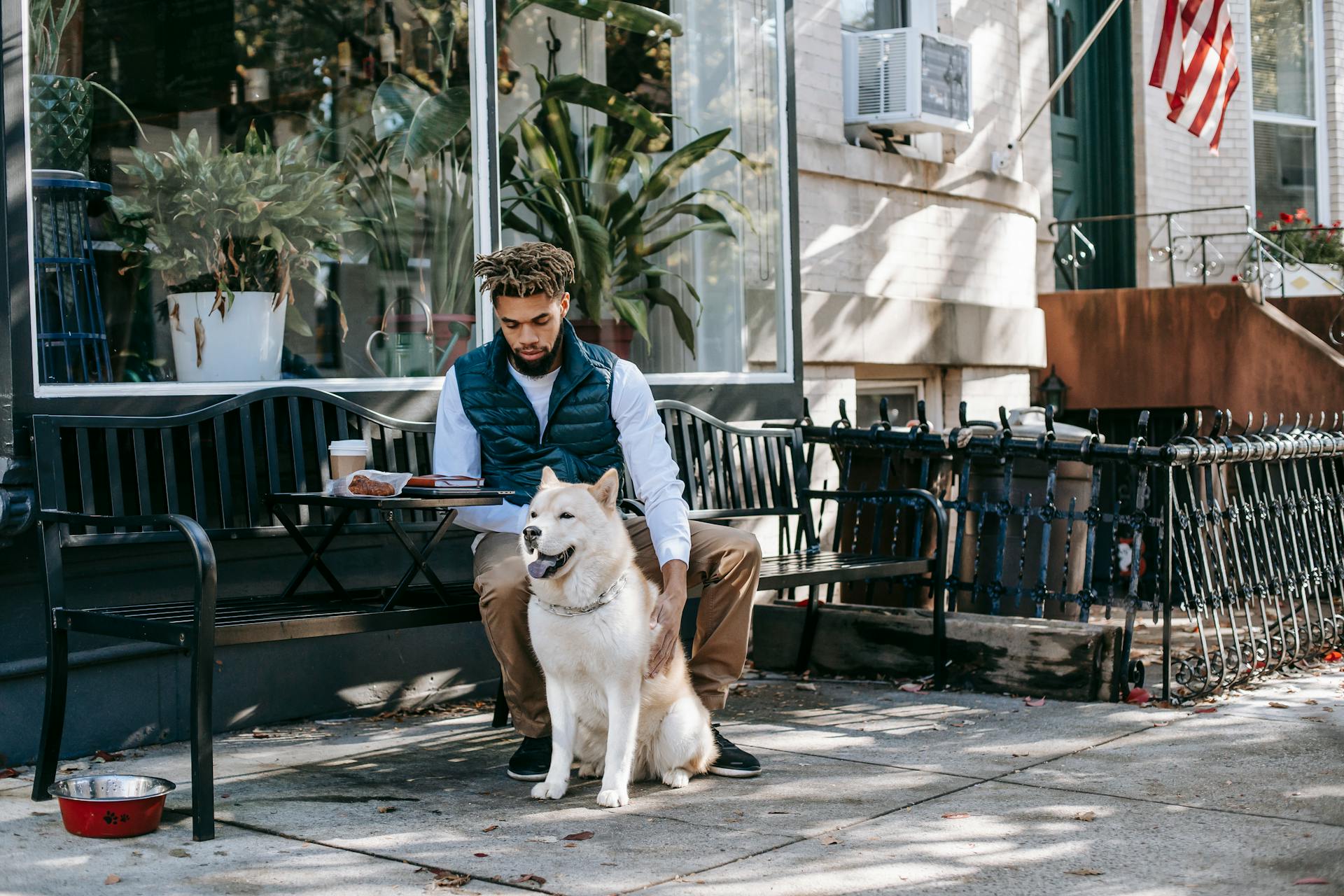 Focused African American male stroking Akita Inu while sitting on bench with snack and takeaway coffee on street during lunch