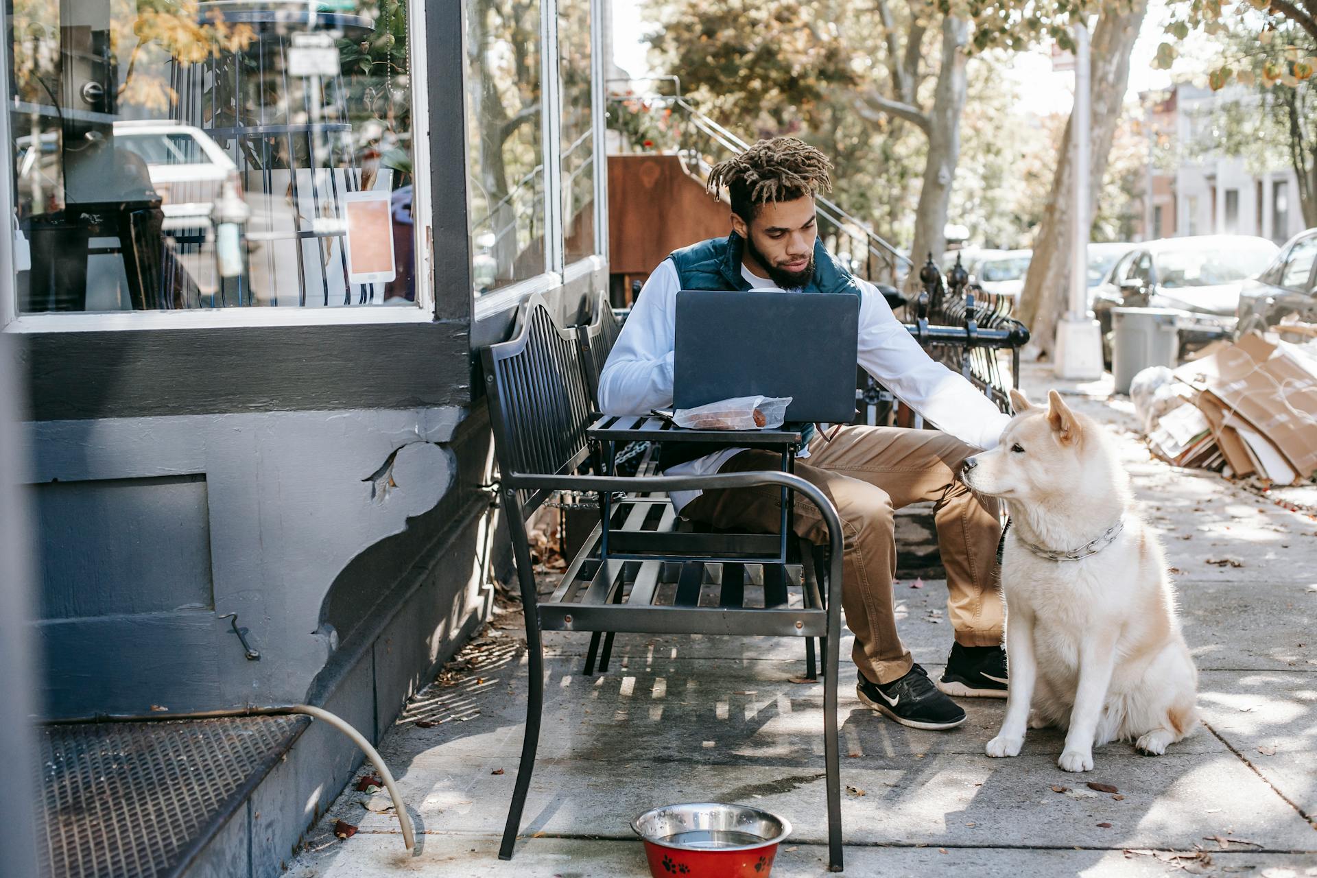 Black man working with laptop and patting cute Akita Inu