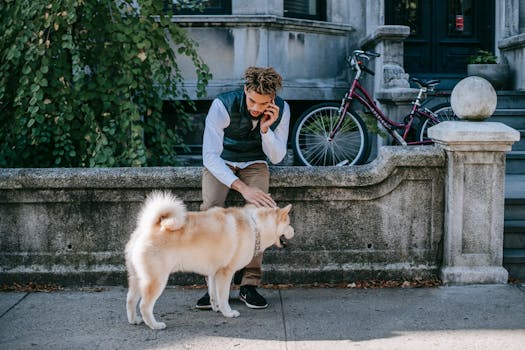 A man sits on a concrete fence, talking on the phone, while petting an Akita Inu dog.