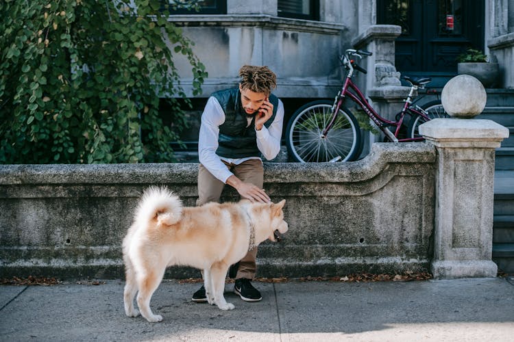 Busy Black Man Talking On Mobile Phone And Patting Dog