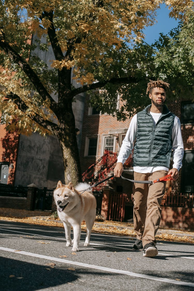 Black Man Walking With Funny Akita Inu Dog