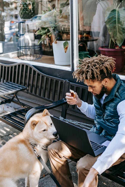 Black man analyzing information on laptop near Akita Inu dog