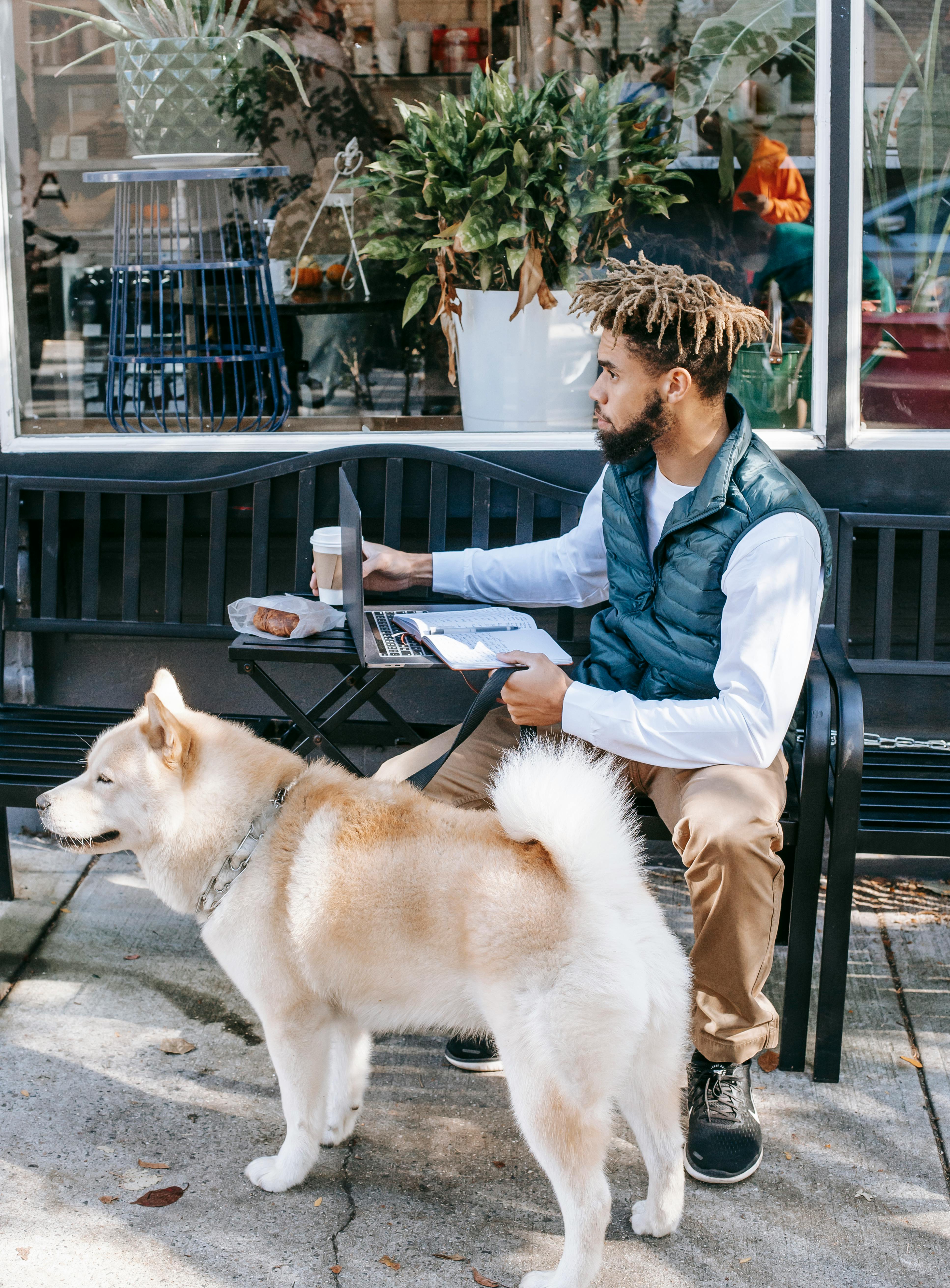 focused black man with dog browsing laptop on street