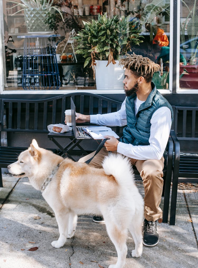 Focused Black Man With Dog Browsing Laptop On Street