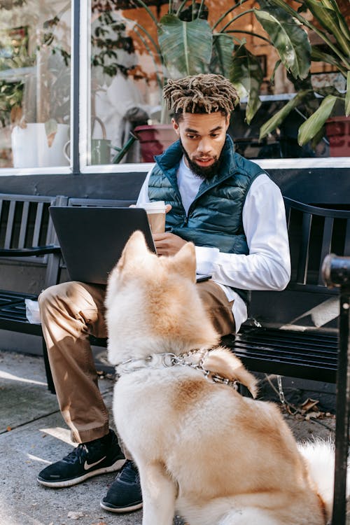 Focused African American male with takeaway coffee sitting on bench and surfing netbook while working online on street near dog