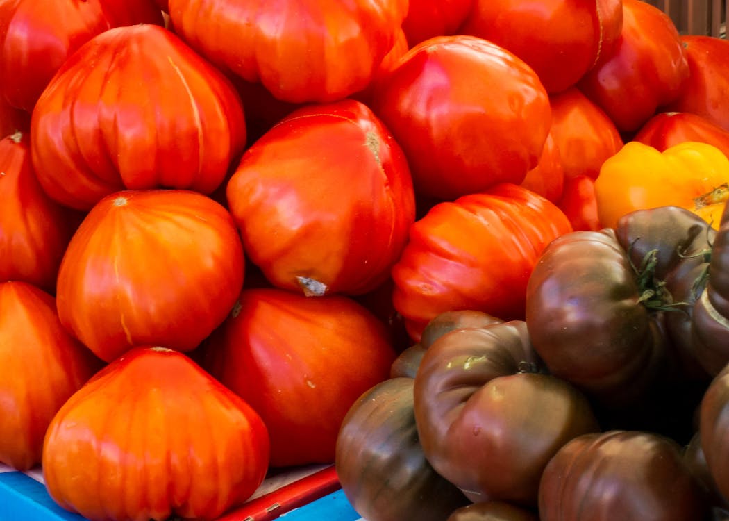 Free stock photo of tomatoes Stock Photo