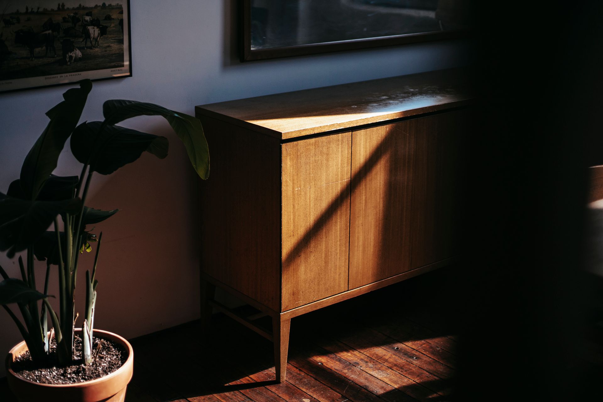 Wooden cabinet near potted plant