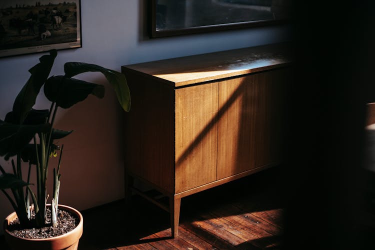 Wooden Cabinet Near Potted Plant