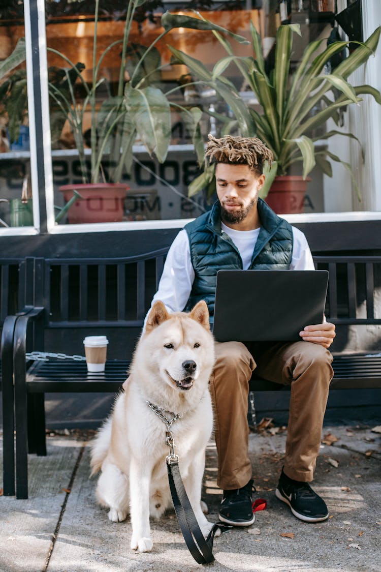 Calm Black Man With Laptop Near Dog On Bench