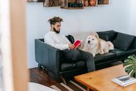 一位非裔美国男子和他忠实的秋田犬正舒适地坐在沙发上，享受在家阅读的休闲时光