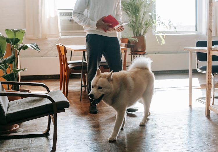 Crop Man Standing With Book Near Dog