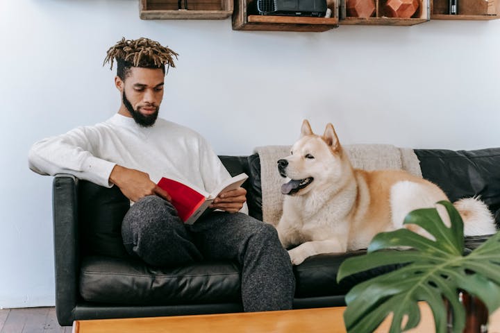 Concentrated African American male sitting on comfortable couch near Akita Inu dog while reading book in living room during weekend