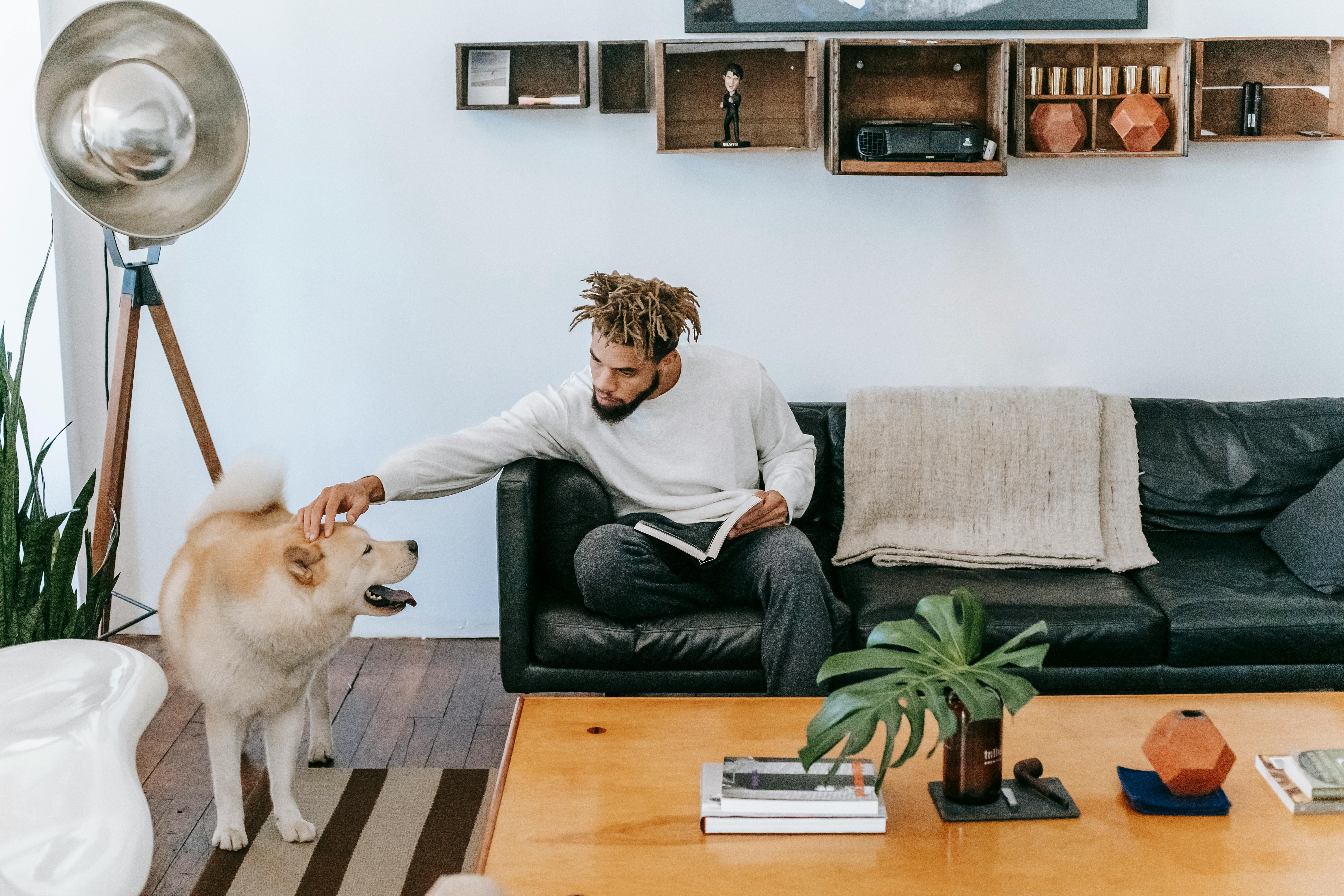 black man sitting on couch while petting dog