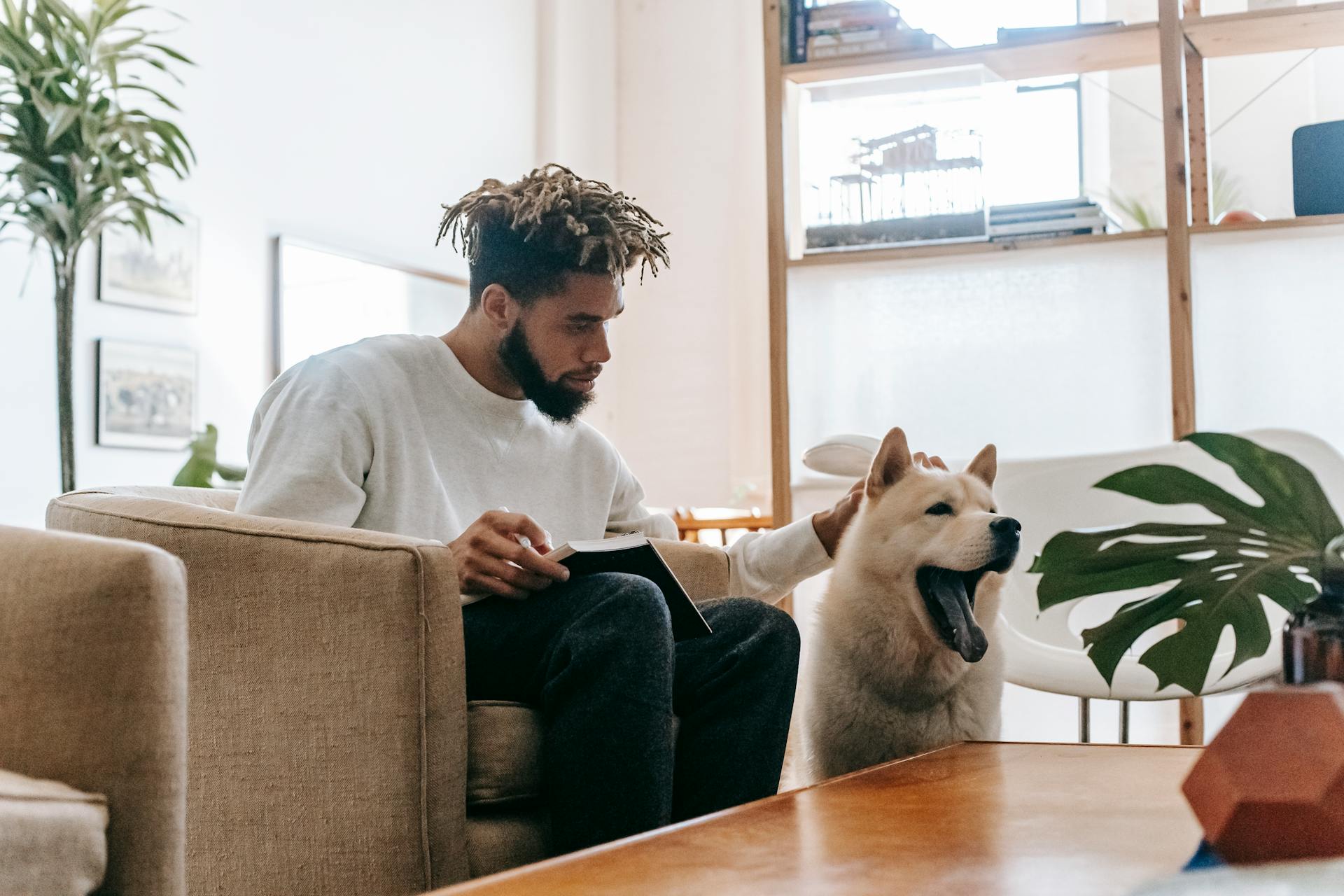 Side view of African American male owner sitting in armchair with notebook while stroking Akita Inu in room with wooden table