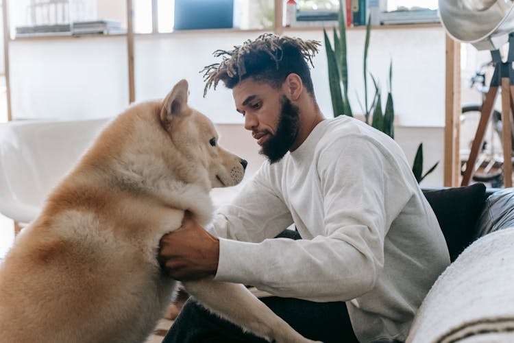 Serious Black Man Playing With Dog