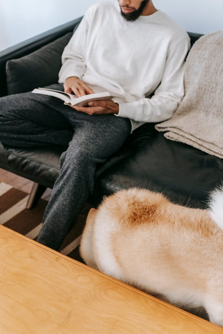 Crop Black Man Sitting On Couch With Book Near Dog