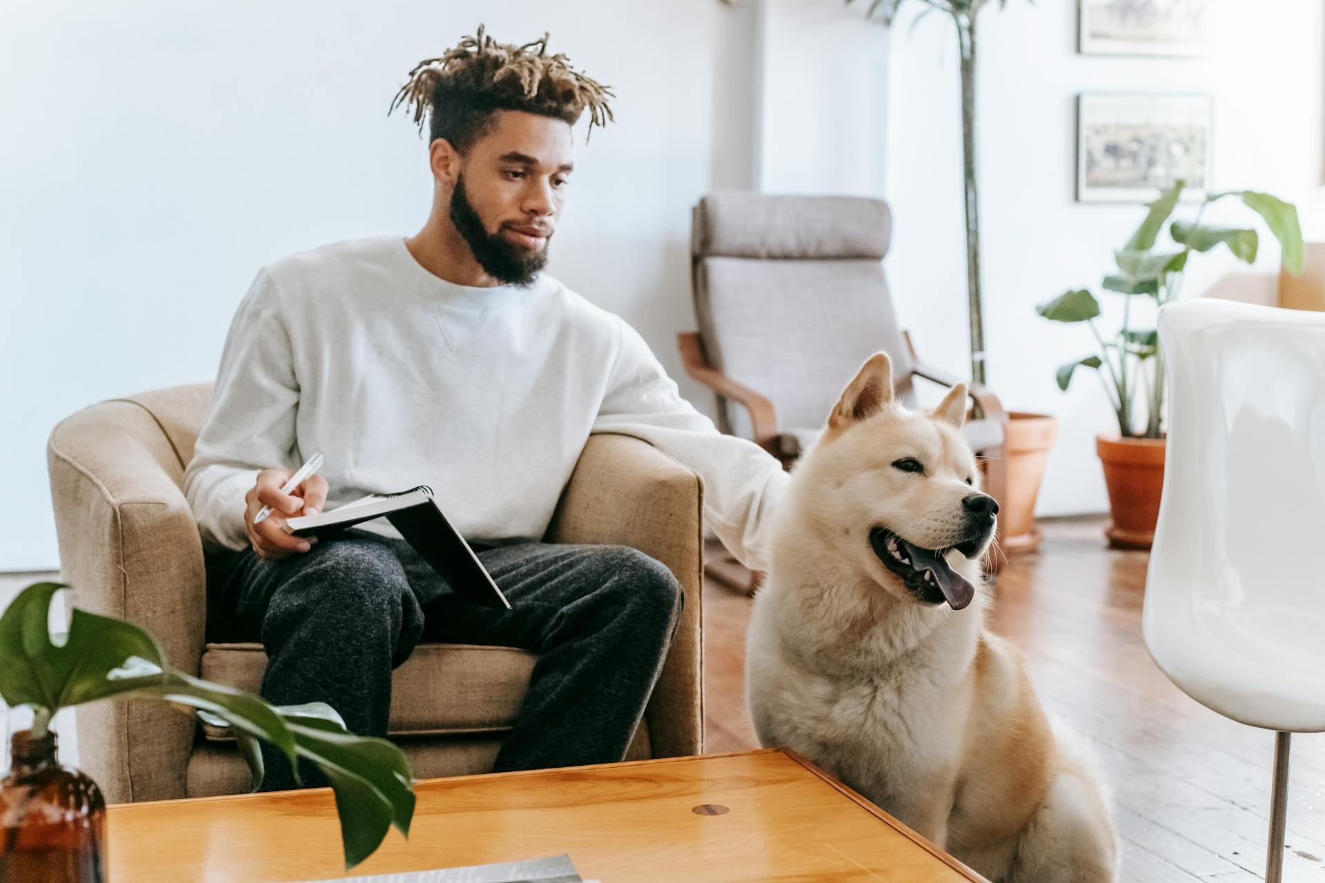 Bearded African American male sitting on armchair with notepad near table while stroking Akita Inu in living room with plants