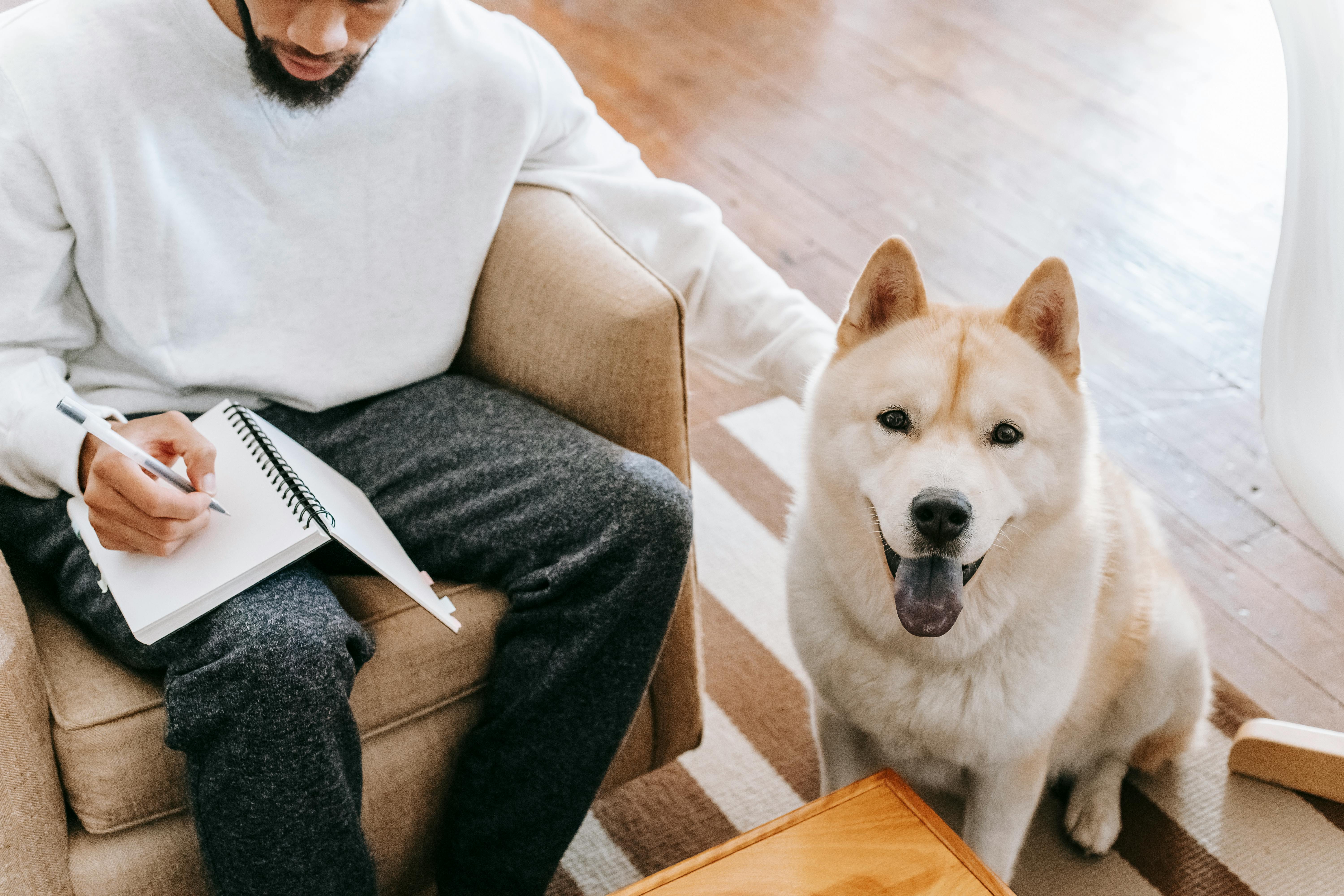 From above of anonymous African American male sitting in armchair and writing in notepad while stroking Akita Inu dog in living room