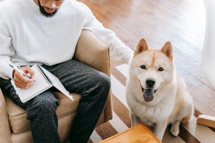 Crop Black Man Taking Notes While Petting Dog