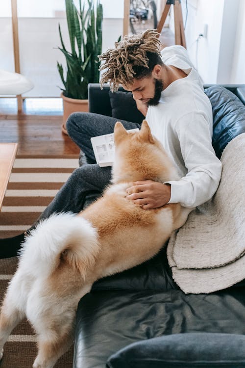 Free Black man stroking dog on couch Stock Photo