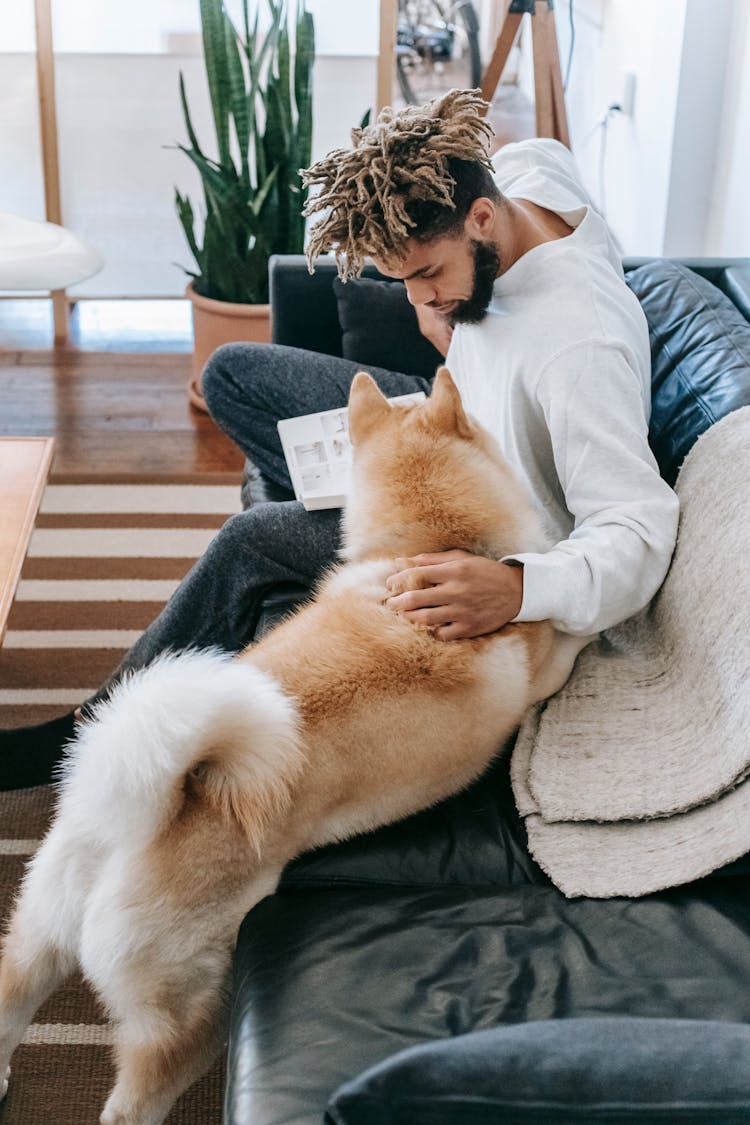 Black Man Stroking Dog On Couch