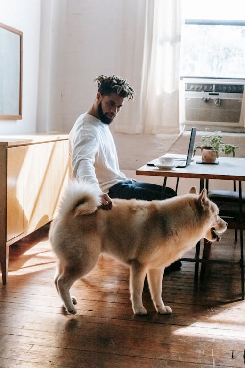 Side view of African American male petting Akita Inu while sitting at table with laptop and cup of coffee in room