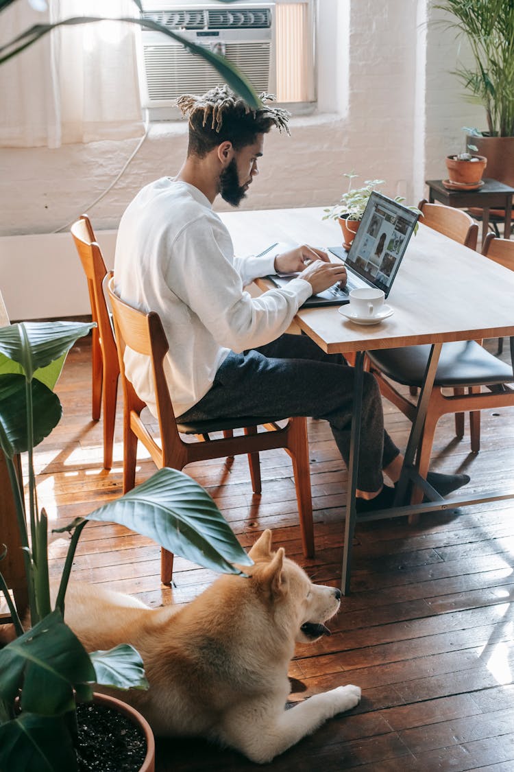 Black Man Browsing Laptop Near Dog