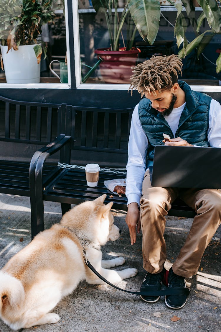 Black Man With Laptop On Bench Near Dog