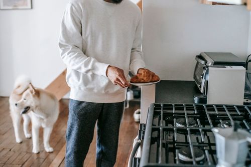 Free Crop anonymous male owner in casual outfit holding plate with fresh yummy croissant while standing in kitchen near adorable Akita Inu dog Stock Photo
