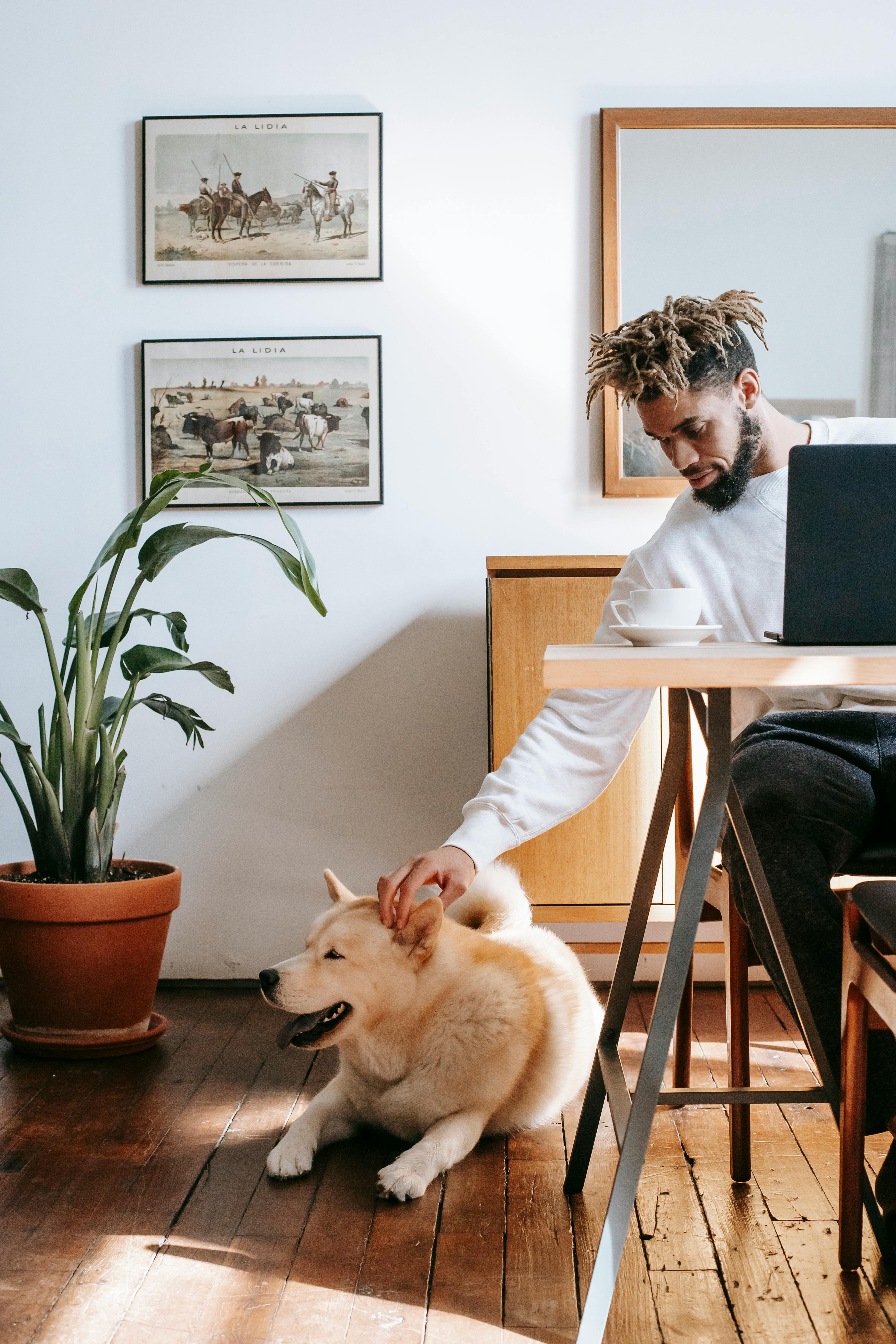 trendy african american man stroking dog while working on netbook at home