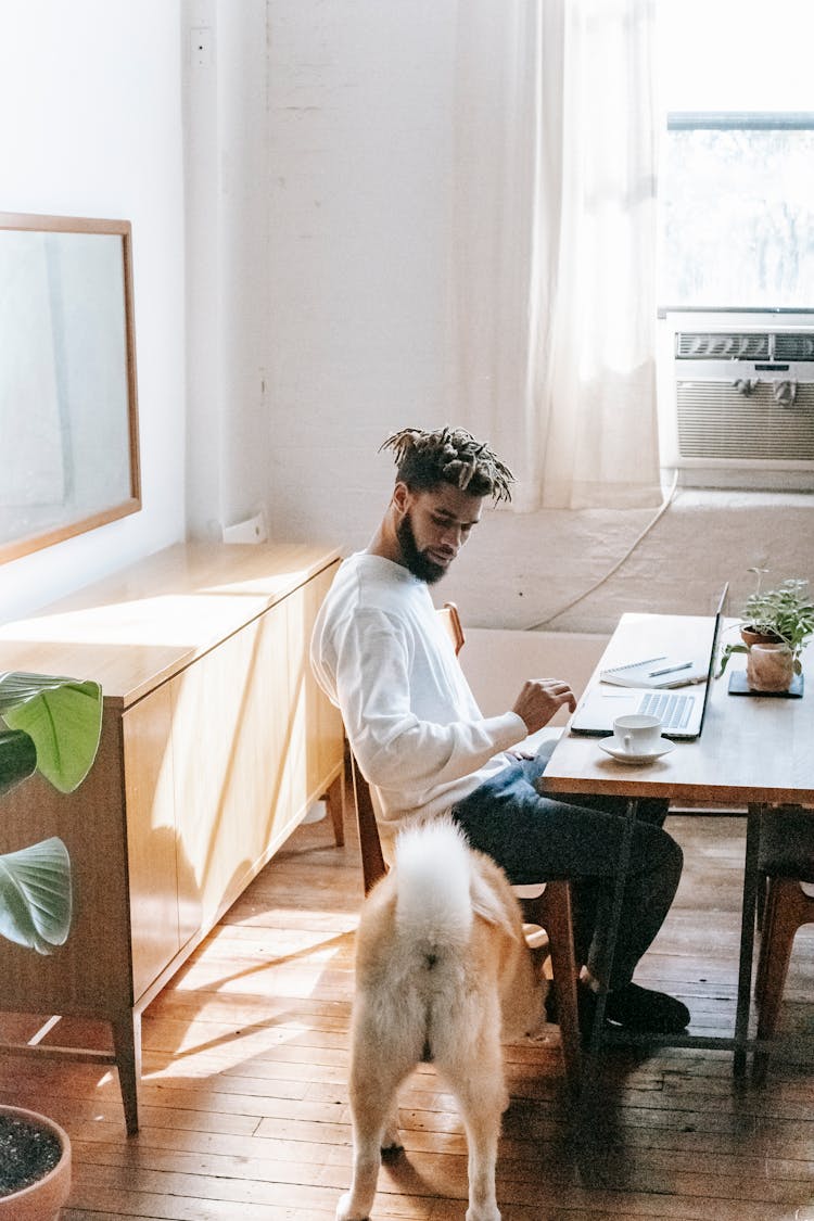 Focused African American Male Browsing Laptop At Home Sitting At Table Near Dog