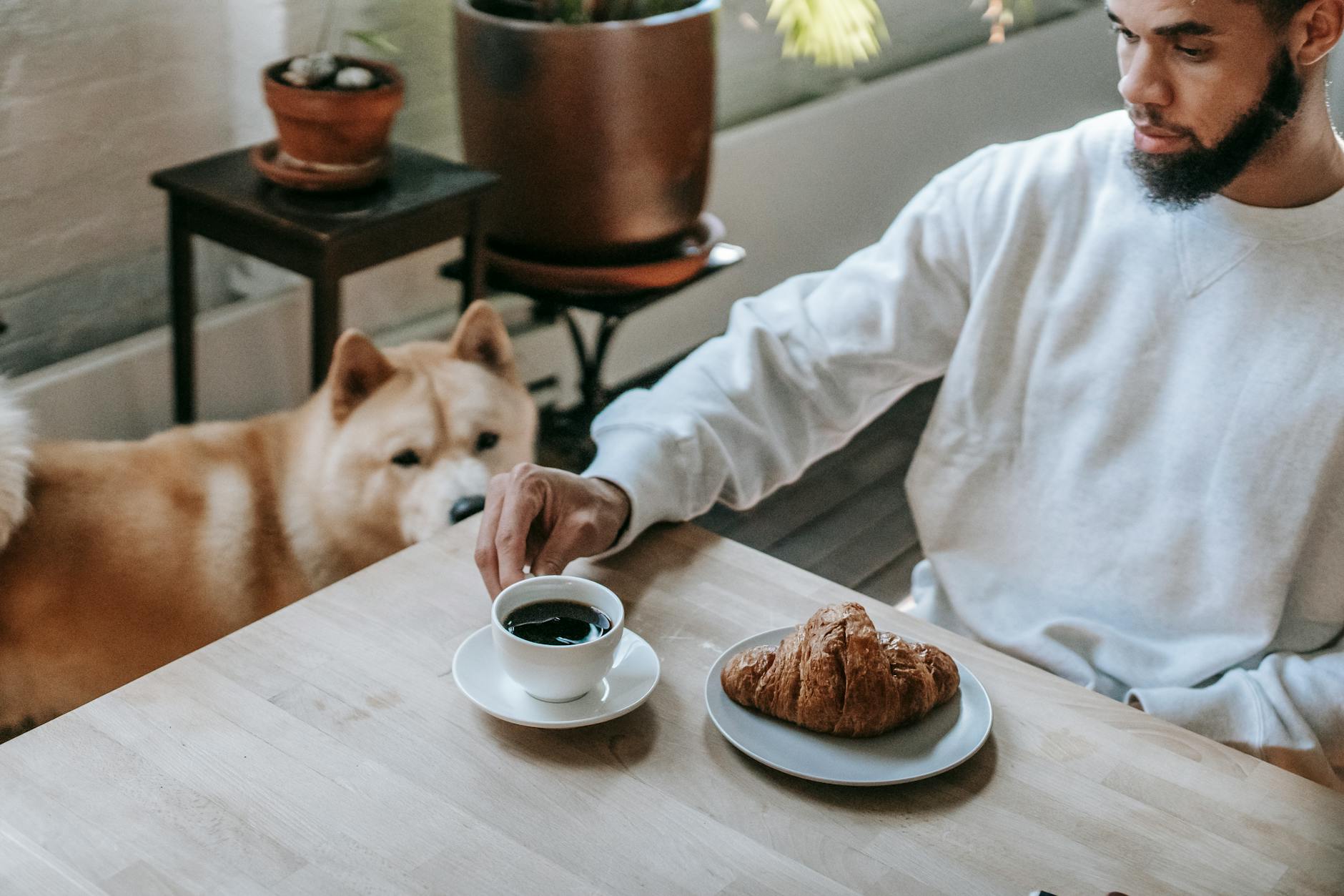 A man enjoying breakfast with coffee and croissant, accompanied by his Akita Inu dog at home.