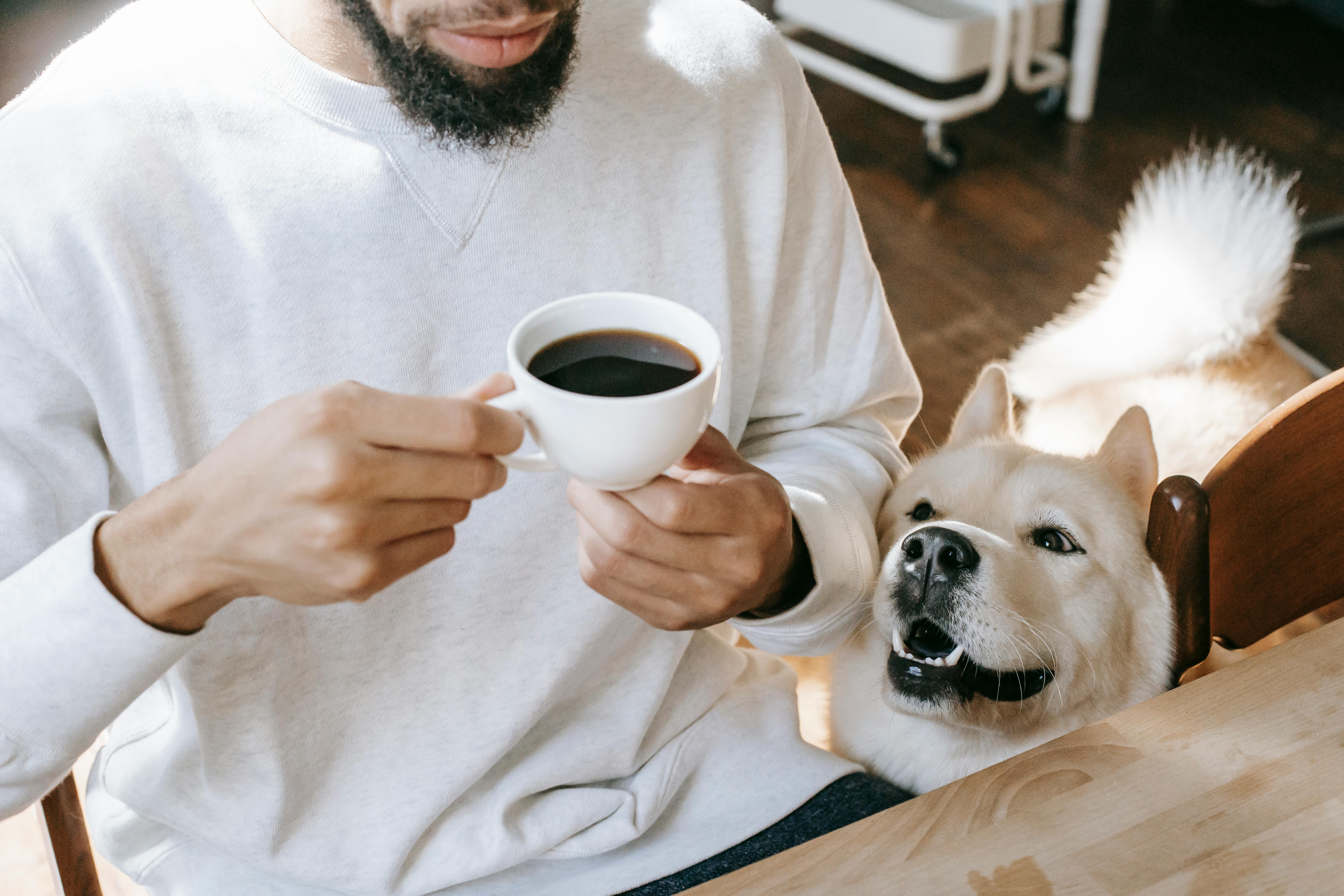 crop ethnic man drinking coffee at table near curious purebred dog