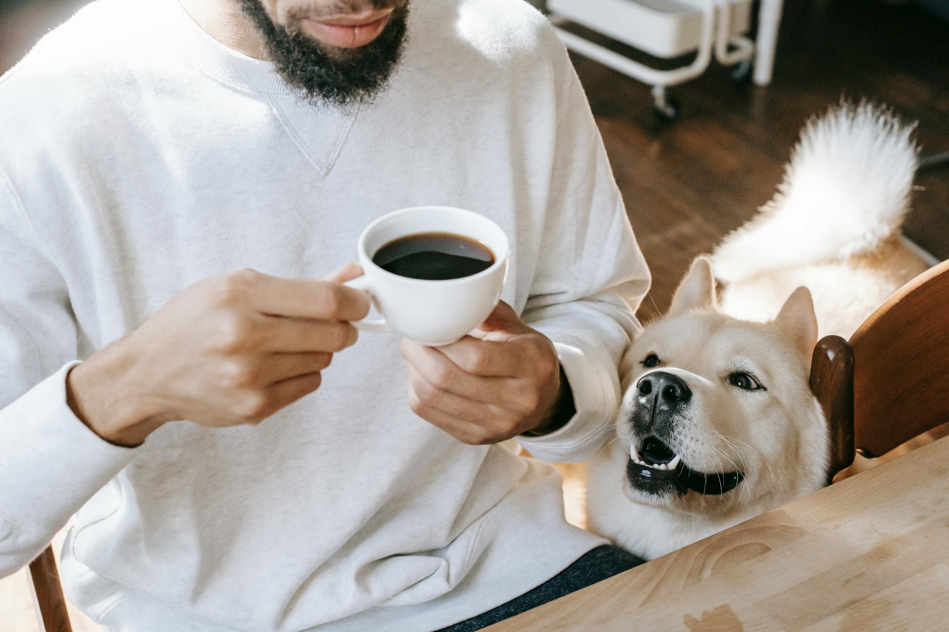 Crop ethnic man drinking coffee at table near curious purebred dog