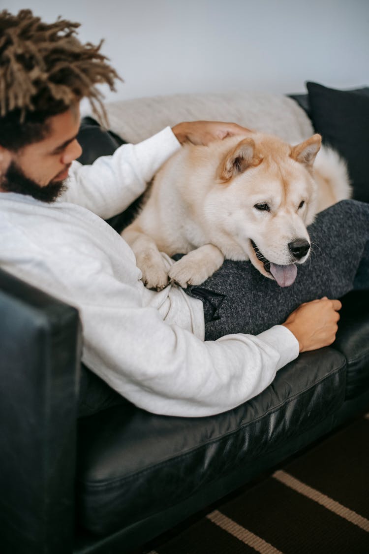 Adorable Dog Lying On Ethnic Guy Resting On Couch At Home