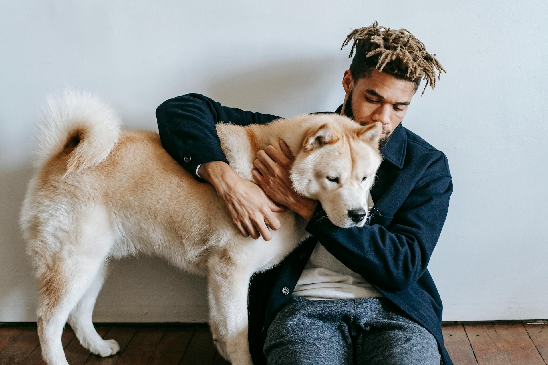 Young African American male with dreadlocks embracing cute fluffy funny Akita Inu dog on floor