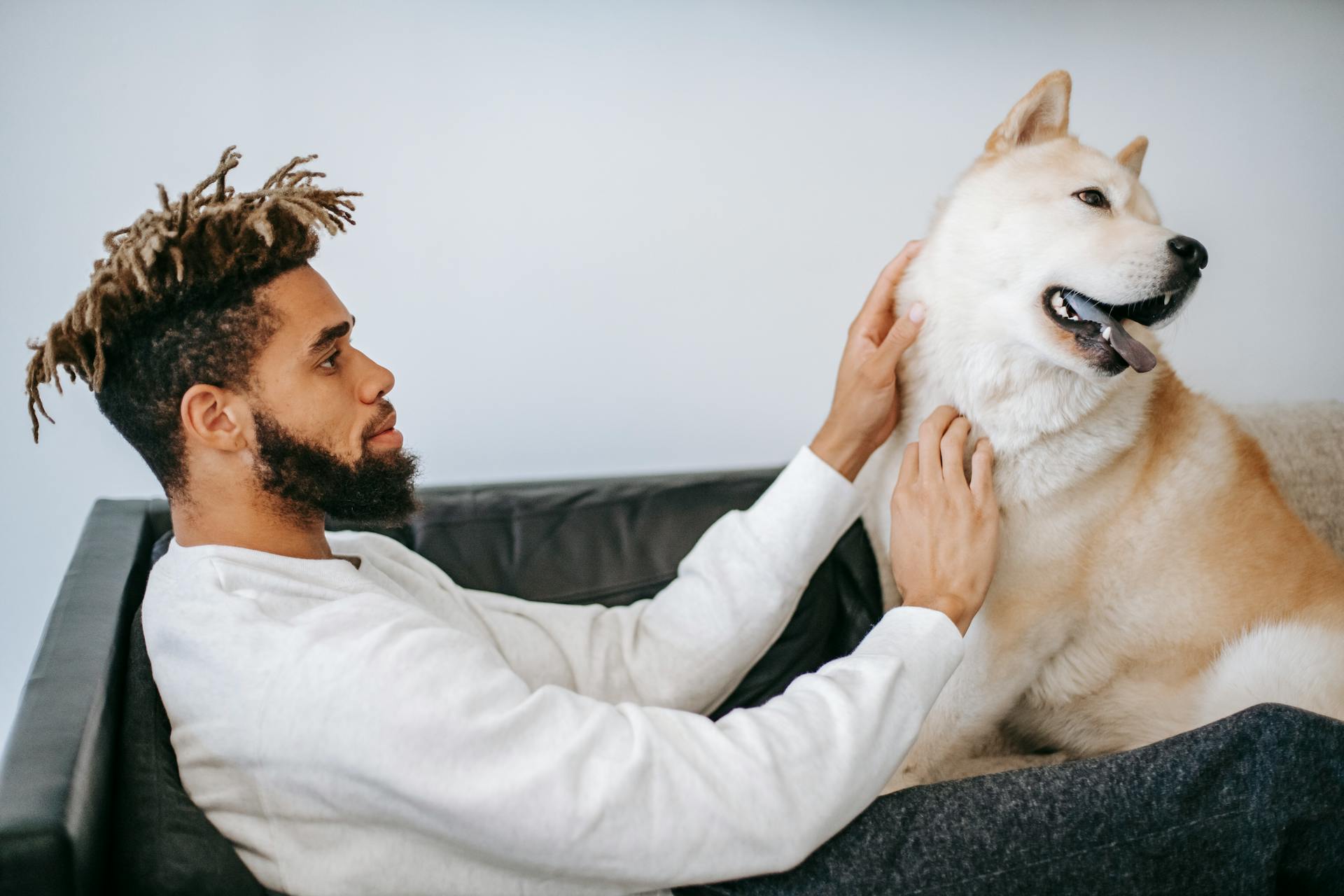 Stilfull afroamerikansk man med dreadlocks som klappar en bedårande rolig Akita Inu-hund medan han vilar på soffan