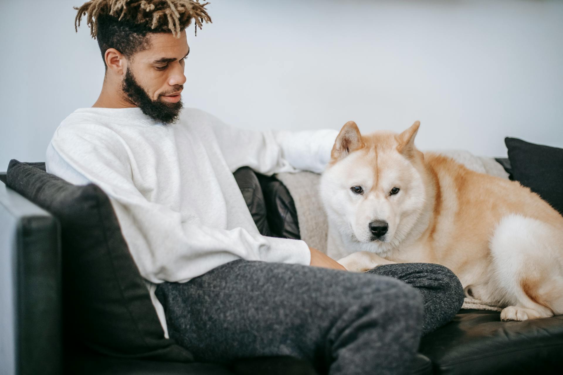 Black guy petting purebred dog on couch