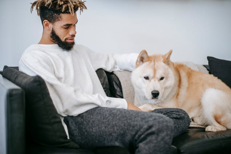 Black Guy Petting Purebred Dog On Couch