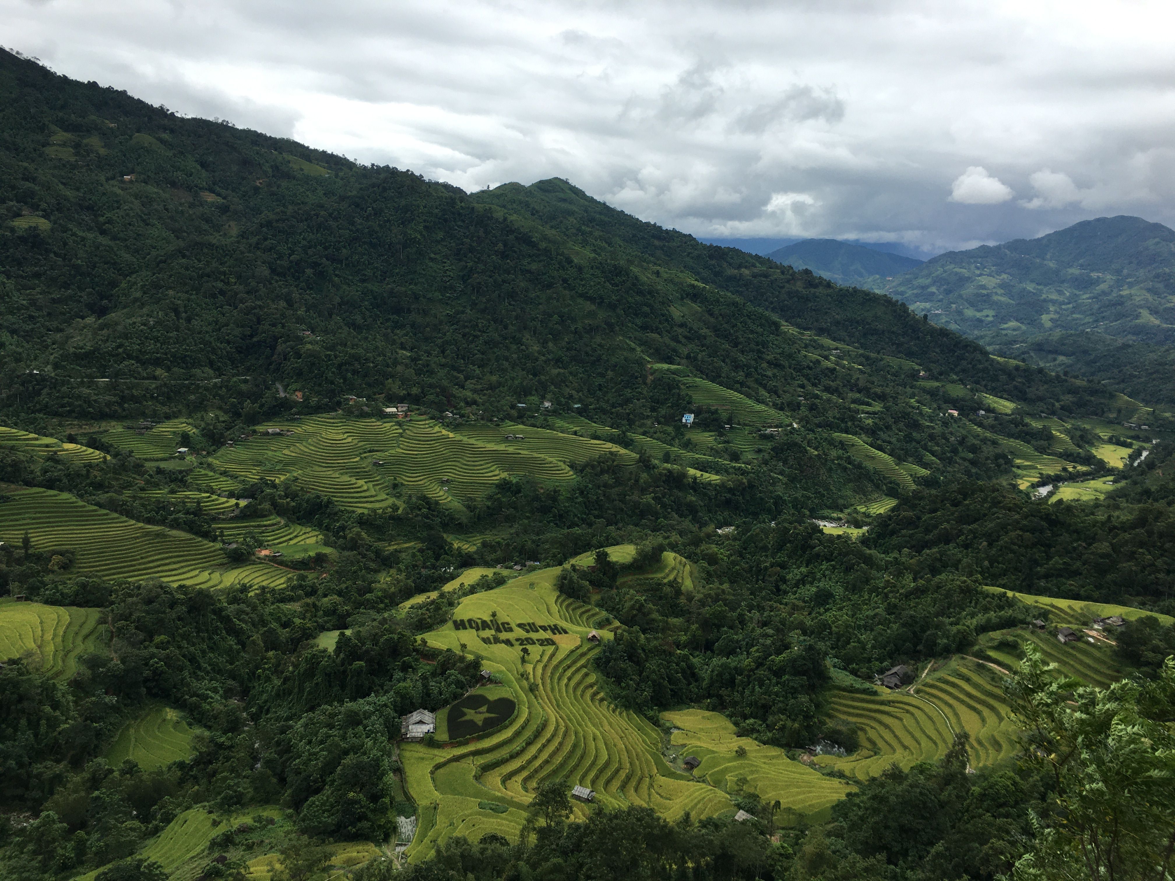 A breathtaking view of the lush rice terraces in Hoàng Su Phì, Hà Giang, Vietnam, capturing the natural beauty and tranquility.