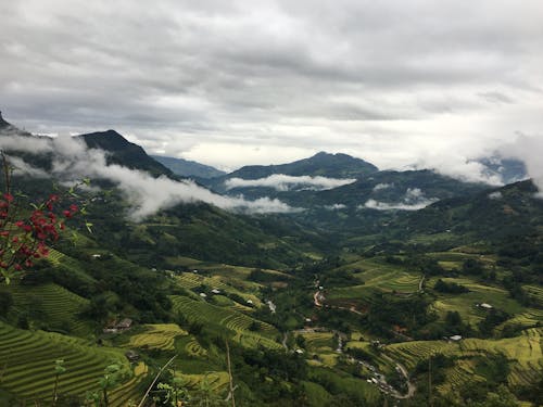 Foto d'estoc gratuïta de camps de cultiu, cel ennuvolat, foto des d'un dron