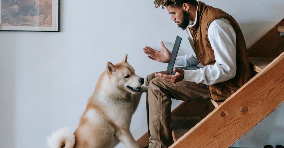 How to use cohere pro dog nail clippers
