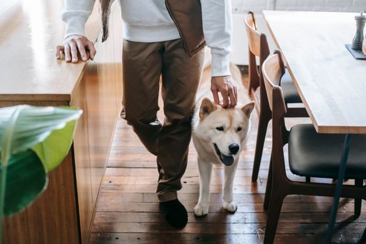 餐厅里，一名男子正深情地抚摸着他的秋田犬，场景温馨而宁静