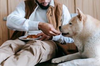 Man Feeding a Dog