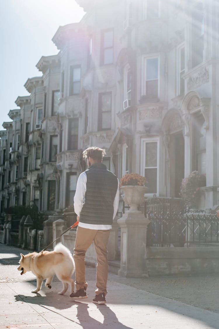 Faceless Man Walking In Street With Dog