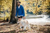 秋日阳光明媚的公园里，一名男子和他的秋田犬正平静地散步