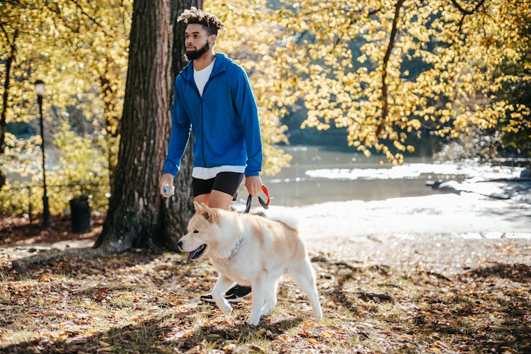 African American Male Walking With Dog In Park